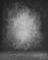 W33-534(B35)